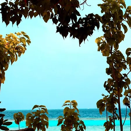 Pandanus Villa